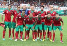 Histoire des Lions : faut-il jouer en rouge, en vert ou en blanc ? Maroc 2015
