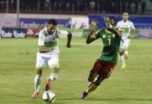 Qatar 2022 : Algérie – Cameroun, un billet et de fortes tensions Algérie_Cameroun