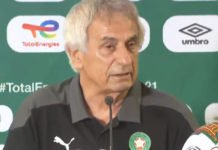 Vahid Halilhodzic : « L’Egypte est expérimentée mais nous avons de l’ambition » Halilhdozic
