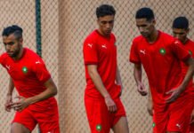 Vidéo : L’intégralité de l’entrainement des Lions et quelques réactions Lions entrainement