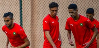 Vidéo : L’intégralité de l’entrainement des Lions et quelques réactions Lions entrainement