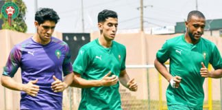 Lions de l’Atlas : Des visites à l’infirmerie et une préparation adaptée Lions entrainements