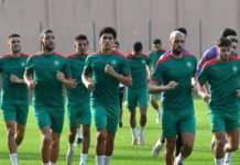 Premières arrivées des Lions prévues dimanche soir Lions_CAN_entrainement