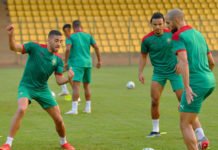 Des supporters congolais envoyés pour perturber l’entrainement des Lions Lions_entrainement