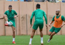 Egypte – Maroc : Ultime séance d’entrainement avant le choc de dimanche Lions_entrainements