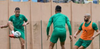 Egypte – Maroc : Ultime séance d’entrainement avant le choc de dimanche Lions_entrainements