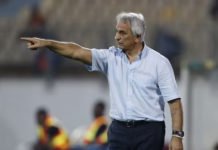Vahid Halilhodzic : « On s’est battu et le résultat est positif » Vahid Halilhodzic