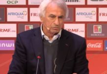 Vahid Halilhodzic : « Notre parcours à la CAN n’était pas mauvais » Vahid Halilhodzic