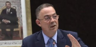 Lions de l’Atlas : Fouzi Lekjaa met les points sur les I Lekjaa Fouzi