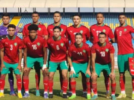 Lionceaux U20