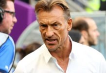 Qatar 2022 : Les Faucons d’Hervé Renard chutent contre les Aigles de la Pologne Hervé Renard