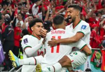 Qatar 2022 : Les Lions de l’Atlas décornent les Diables rouges (2-0) Lions de l'Atlas