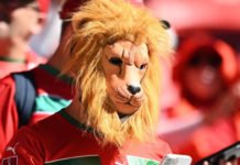 Qatar 2022 : Mais où sont passés les billets de match ? Supporters_Lion