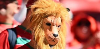 Qatar 2022 : Mais où sont passés les billets de match ? Supporters_Lion