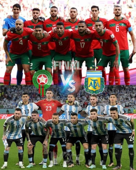 DB2A2E9D-C4C6-45D8-BEC5-717803297AA4 - lions
