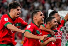 La valeur des Lions de l’Atlas flambe au rayon « Transferts » Lions_de_l'Atlas