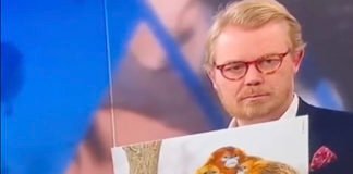 Un journaliste danois compare les Lions de l’Atlas et leurs mères à des singes raciste_danois