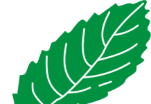 La FRMR suspendue par la World Rugby