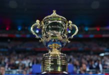 Rugby : La Coupe du Monde élargie à 24 équipes Rugby_Trophée