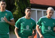 Achraf Hakimi avant Tanzanie – Maroc : « L’atmosphère inspire l’optimisme » Hakimi_Lion