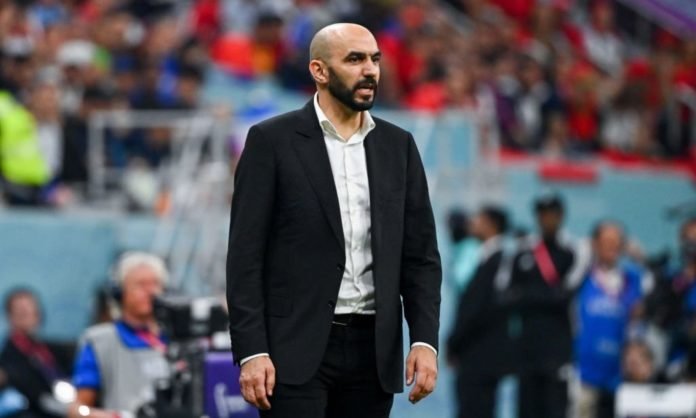 Walid Regragui, sélectionneur des Lions de l'Atlas