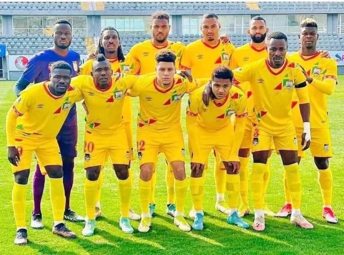 Guépards du Bénin
