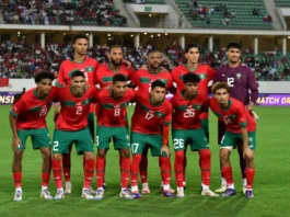 Lions de lAtlas