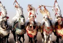 Tbourida – Trophée Hassan II 2025 : les phases qualificatives lancées à Rabat Tbourida - Maroc