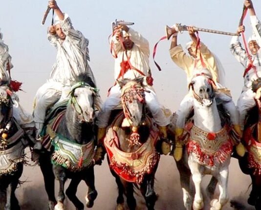 Tbourida – Trophée Hassan II 2025 : les phases qualificatives lancées à Rabat Tbourida - Maroc