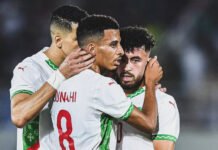 Lions de l’Atlas : l’AMF, carte d’accès automatique à la tanière ? AMF_Lions