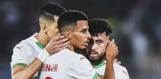 Lions de l’Atlas : l’AMF, carte d’accès automatique à la tanière ? AMF_Lions