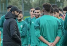 CHAN : Tarik Sektioui convoque 29 Lions de l’Atlas locaux Sektioui_U25