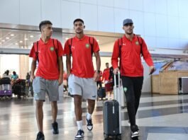 Lions Locaux