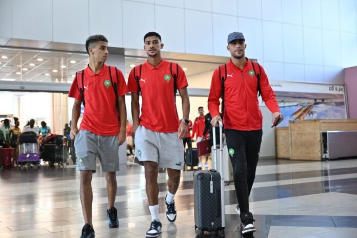 Lions Locaux Lions Locaux