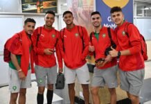 CHAN : Les Lions de l’Atlas à Kampala pour affronter les Lions de la Teranga Lions_Locaux