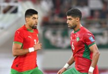 Adam Masina, un comeback réussi avec les Lions de l’Atlas Adam Masina