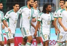 Mondial 2026 : le groupe de la France, pire tirage pour l’Algérie ? Algérie - Fennecs