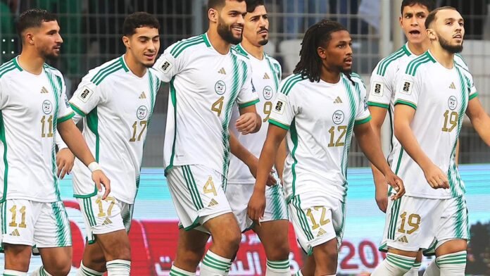 Algérie - Fennecs Algérie - Fennecs