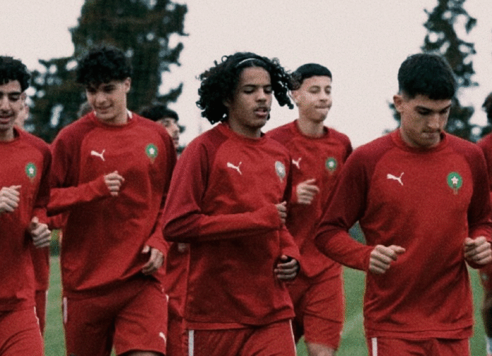 Lionceaux U17 Lionceaux U17