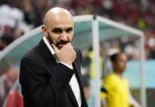 Quel système pour les Lions ? Walid Regragui