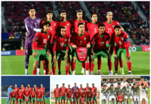 Les Lions en action : trois amicaux et un huitième de finale mondial La tanière des Lions de l'Atlas