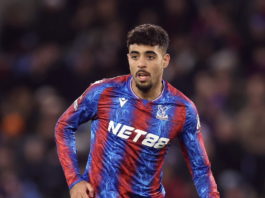 Chadi Riad - Crystal Palace