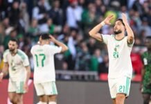Éliminée par le Nigeria, l’Algérie conteste l’arbitrage et saisit la CAF et la FIFA Fennecs