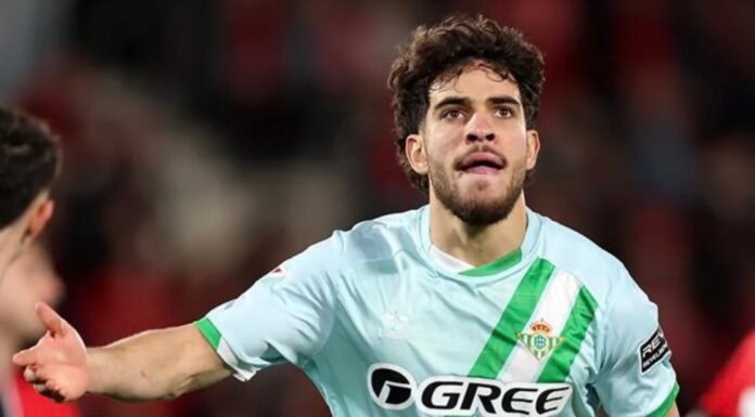 Maturité, efficacité, impact : la nouvelle version d’Ez Abde Ez Abde