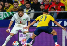 Paraguay : Le Maroc avance dans la bonne direction selon Gustavo Alfaro Ezzalzouli - Ez Abde