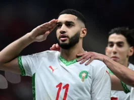 Saibari - Lions de lAtlas