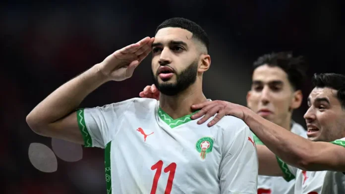 Saibari - Lions de lAtlas