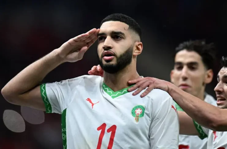 Saibari - Lions de lAtlas