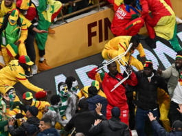 Hooligans Sénégalais