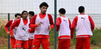 Lionceaux U17
